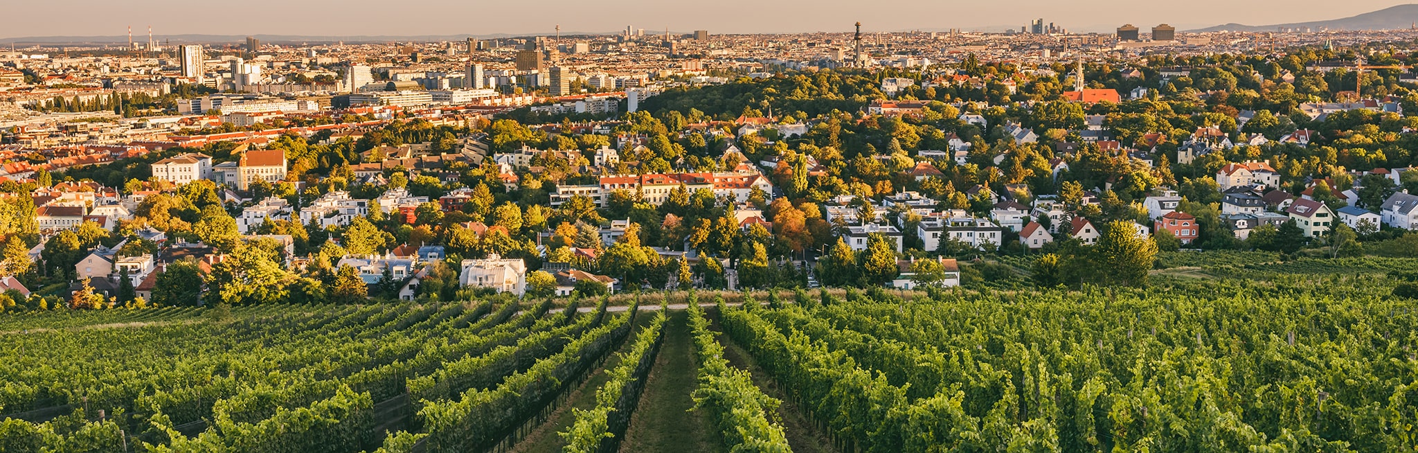 Ansicht von Währing (18. Bezirk)